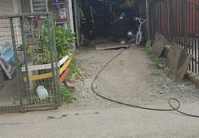 Vulcanización Peter Fonda