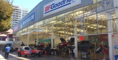 LEÓN - Servicio Automotriz Viña del Mar