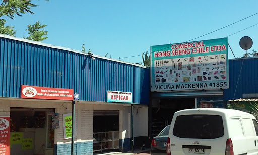 Comercial Hong Sheng Chile LTDA