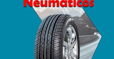 Vulcanización Vizza