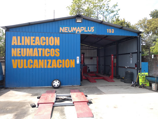 Neumaplus Vulcanización