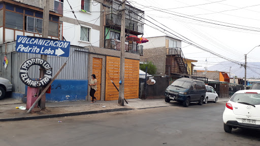 Vulcanización Froilan